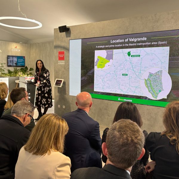 WhatsApp Image 2026-03-17 at 13.42.36